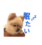 鈴木はなです♩ ♩（個別スタンプ：10）