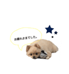 鈴木はなです♩ ♩（個別スタンプ：11）