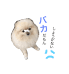 鈴木はなです♩ ♩（個別スタンプ：13）