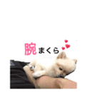 鈴木はなです♩ ♩（個別スタンプ：14）