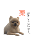 鈴木はなです♩ ♩（個別スタンプ：15）