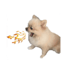 鈴木はなです♩ ♩（個別スタンプ：16）