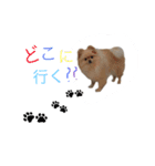 鈴木はなです♩ ♩（個別スタンプ：21）