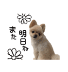 鈴木はなです♩ ♩（個別スタンプ：22）