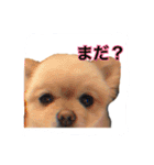 鈴木はなです♩ ♩（個別スタンプ：23）