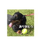 渡部バディ（個別スタンプ：8）