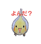 オカメいんこのひなぽ（個別スタンプ：1）