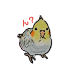 オカメいんこのひなぽ（個別スタンプ：2）