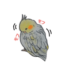 オカメいんこのひなぽ（個別スタンプ：5）