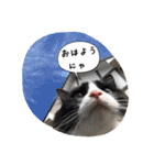 たりの日記（個別スタンプ：1）