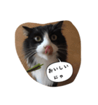 たりの日記（個別スタンプ：2）