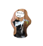 たりの日記（個別スタンプ：5）