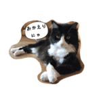 たりの日記（個別スタンプ：6）