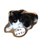 たりの日記（個別スタンプ：7）