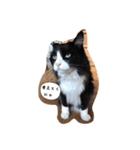 たりの日記（個別スタンプ：13）