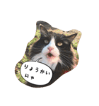 たりの日記（個別スタンプ：17）