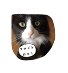 たりの日記（個別スタンプ：35）