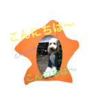 SEVEN SMILE（個別スタンプ：1）