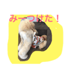 SEVEN SMILE（個別スタンプ：4）