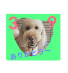 SEVEN SMILE（個別スタンプ：5）