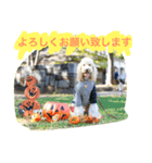 SEVEN SMILE（個別スタンプ：6）