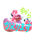 cocochan  stamp（個別スタンプ：18）