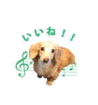nanaの懐かしい日々2（個別スタンプ：3）