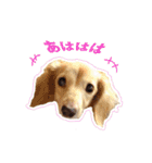 nanaの懐かしい日々2（個別スタンプ：4）