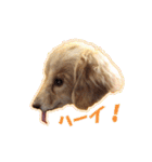 nanaの懐かしい日々2（個別スタンプ：5）