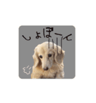nanaの懐かしい日々2（個別スタンプ：14）