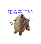 nanaの懐かしい日々2（個別スタンプ：16）