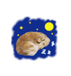 nanaの懐かしい日々2（個別スタンプ：19）