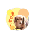 nanaの懐かしい日々2（個別スタンプ：24）