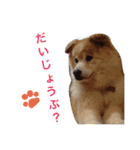 もふもふ ももちゃん（個別スタンプ：2）
