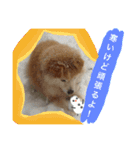 もふもふ ももちゃん（個別スタンプ：6）