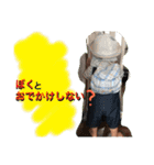 そうたザウルス2（個別スタンプ：6）