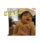 そうたザウルス2（個別スタンプ：14）