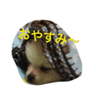 山岡っちdogs（個別スタンプ：2）