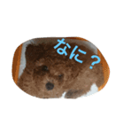 山岡っちdogs（個別スタンプ：3）
