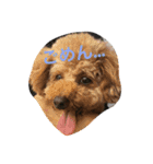 山岡っちdogs（個別スタンプ：5）