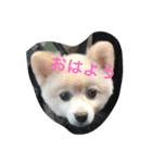 山岡っちdogs（個別スタンプ：7）