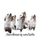 Dogs95Home（個別スタンプ：4）
