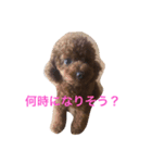 COCO LIFE part1（個別スタンプ：2）
