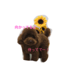 COCO LIFE part1（個別スタンプ：3）