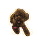 COCO LIFE part1（個別スタンプ：4）