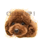 COCO LIFE part1（個別スタンプ：6）
