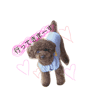 COCO LIFE part1（個別スタンプ：7）