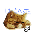 ふぢこさんの悩ましい日常（個別スタンプ：1）