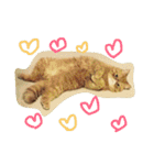 ふぢこさんの悩ましい日常（個別スタンプ：3）