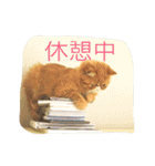 ふぢこさんの悩ましい日常（個別スタンプ：7）